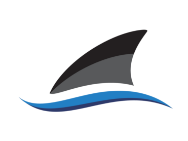 Gestileerde afbeelding van een haaienvin boven twee blauwe gebogen lijnen die op golven lijken, tegen een effen witte achtergrond.